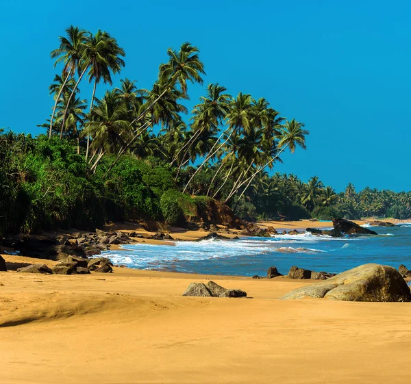 Isla de Sri Lanka con palmeras en la playa del océano — Foto de Stock