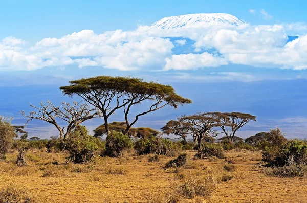 Viaggi paesi tropicali — Foto Stock