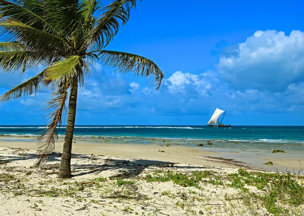 Costa de Diani en Kenia — Foto de Stock