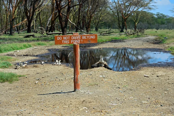 Parque Nakuru Kenia —  Fotos de Stock