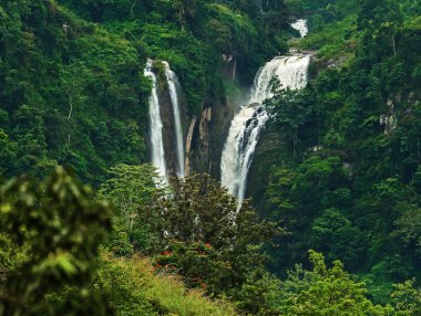 şelale Ramboda Sri Lanka