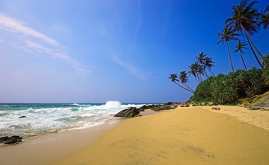 Sri Lanka Adası ile hurma okyanus plaj