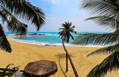 Sri Lanka Adası ile hurma okyanus plaj