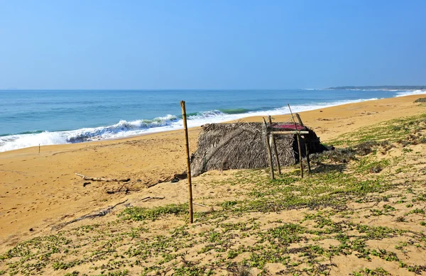 Sri Lanka Adası ile hurma okyanus plaj — Stok fotoğraf