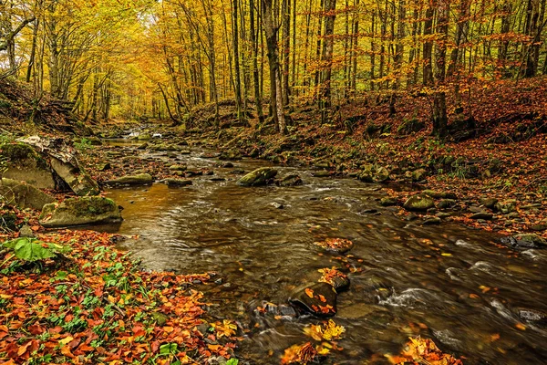 Beau paysage d'automne — Photo
