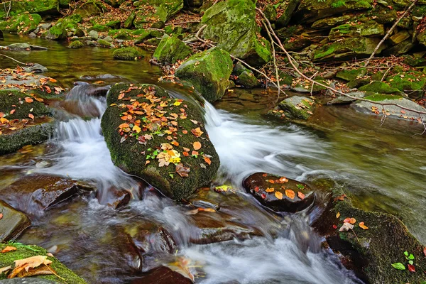 Bellissimo paesaggio autunnale — Foto Stock