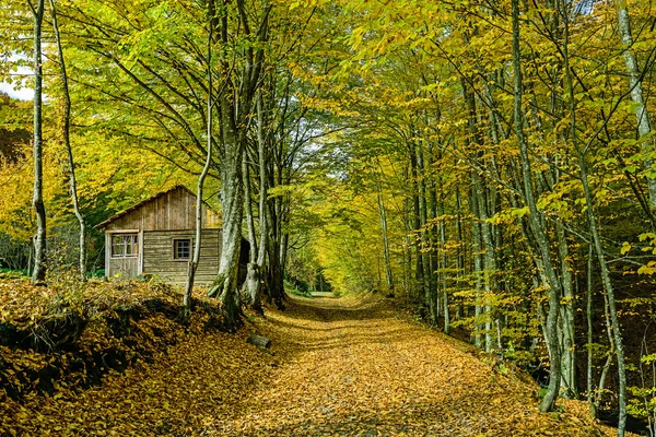 Schöne Herbstlandschaft — Stockfoto