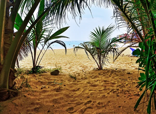 Oceano Praia Sri Lanka — Fotografia de Stock