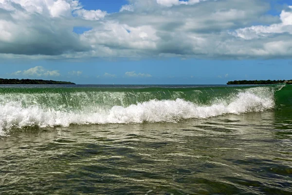 Costa africana Diani — Foto Stock