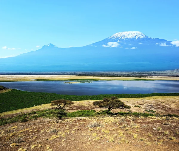 Monte Kilimanjaro em África — Fotografia de Stock