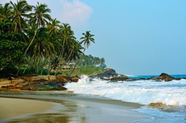 Plajlar Sri Lanka