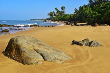 Plajlar Sri Lanka