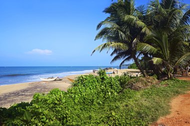 Plajlar Sri Lanka