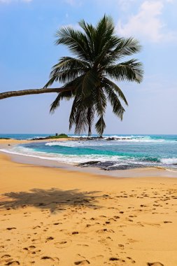 Plajlar Sri Lanka