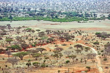 Tsavo Milli Parkı