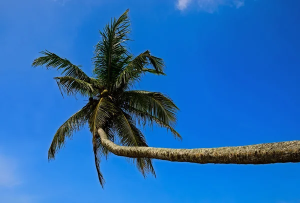 Beaches in Sri Lanka — Stock Photo, Image