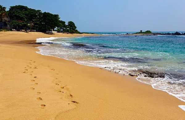 Stranden in Sri Lanka — Stockfoto