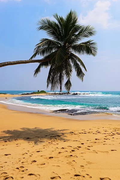 Praias em Sri Lanka — Fotografia de Stock