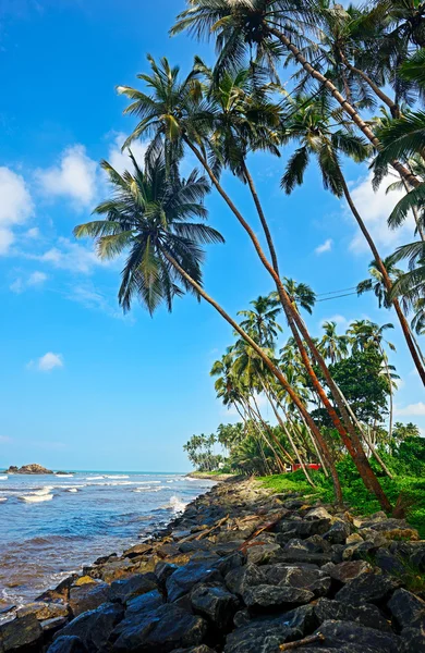 Пляжи Шри-Ланки — стоковое фото