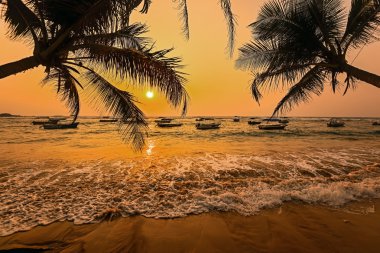 Plajlar Sri Lanka