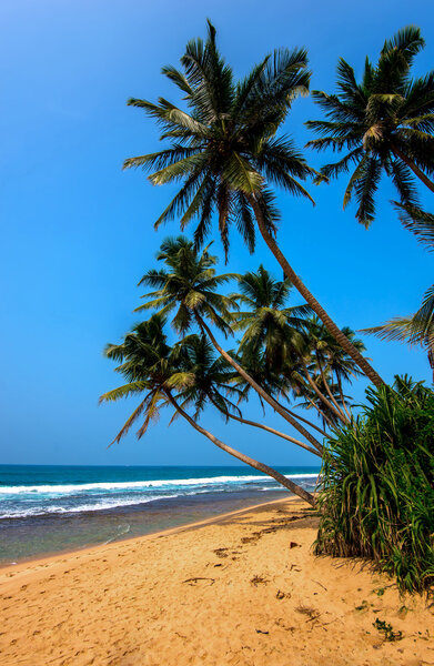 Beaches in Sri Lanka