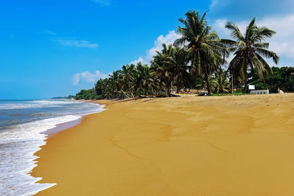 スリランカのビーチ — ストック写真