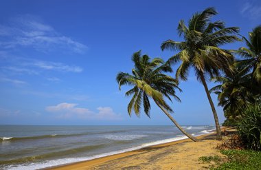 Plajlar Sri Lanka