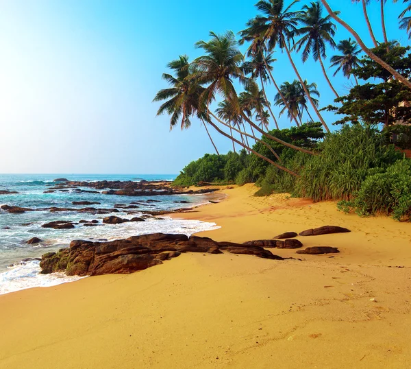 Oceano Praia Sri Lanka — Fotografia de Stock