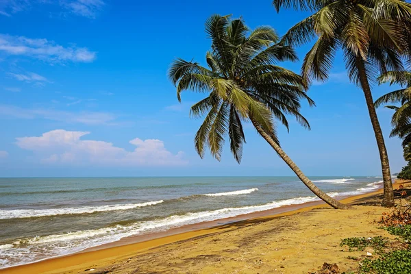 Oceano Praia Sri Lanka — Fotografia de Stock