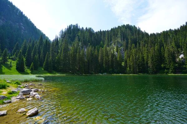 Planina pri jezeru, Parc national du Triglav, Slovénie — Photo