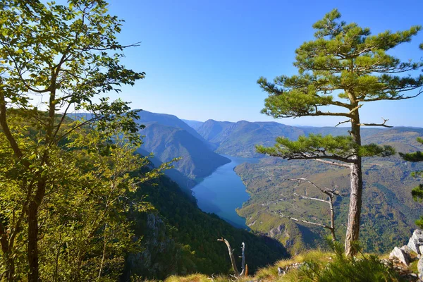 Parque Nacional Tara Sérvia Paisagem Ponto Vista — Fotografia de Stock