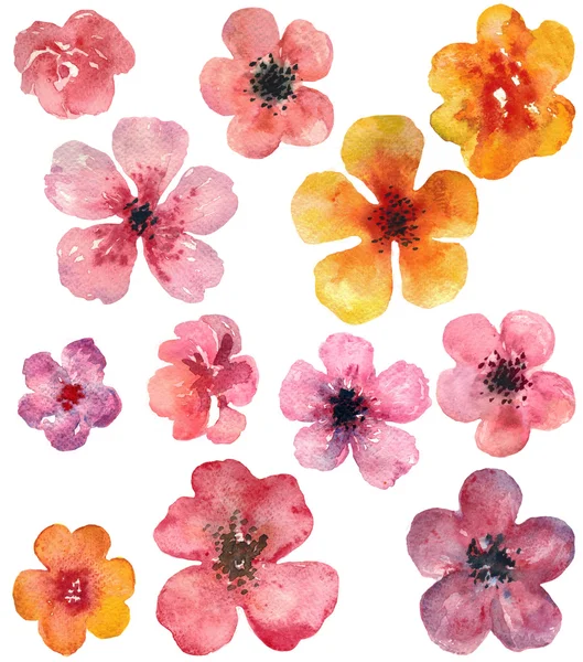 Aquarel bloemen set — Stockfoto