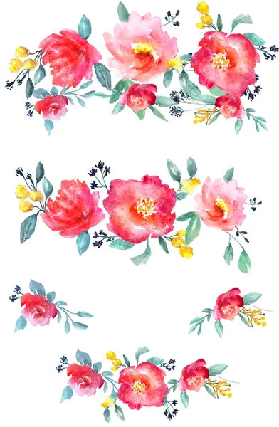 수채화 꽃 세트 — 스톡 사진