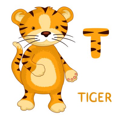  mektup T, kaplan, hayvan Abc