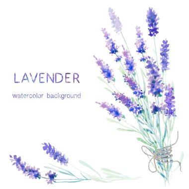 Watecolor lavanta kartı