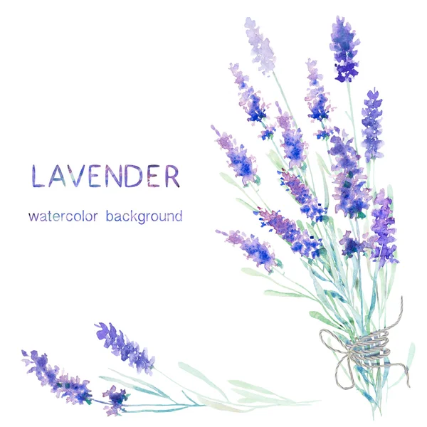 Kartu lavender Watecolor — Stok Foto