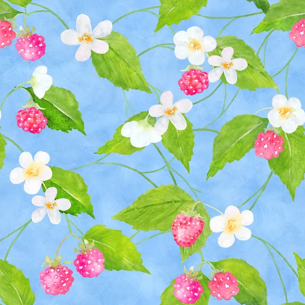 Watercolor raspberry pattern — Stock Photo, Image