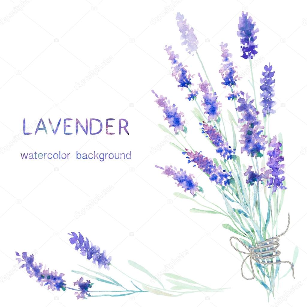 Stockfotos Wasser Farbe Lavendel Muster Bilder Stockfotografie Wasser Farbe Lavendel Muster Lizenzfreie Fotos Depositphotos