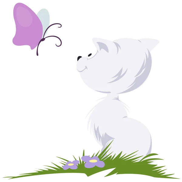 Kätzchen Sucht Schmetterling Illustration Für Internet Und Mobile Website Lustige — Stockvektor