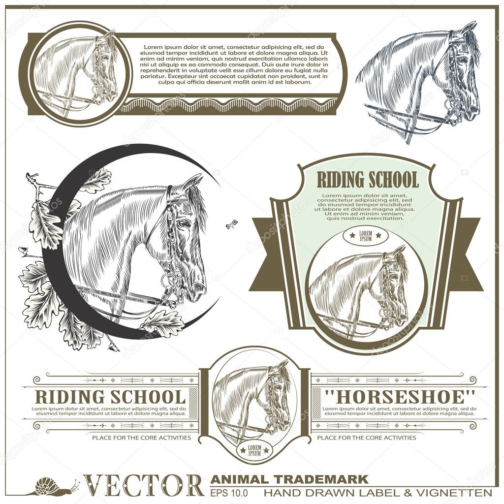 hand drawn label, sticker & vignetten on the theme of horse