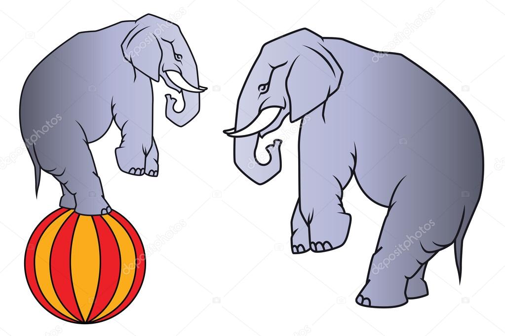 Stock illustration. Circus elephant on the ball