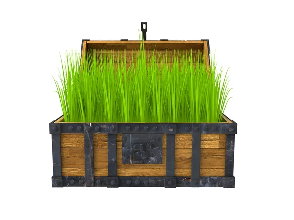 Old chest filled with green grass — Stock Photo, Image
