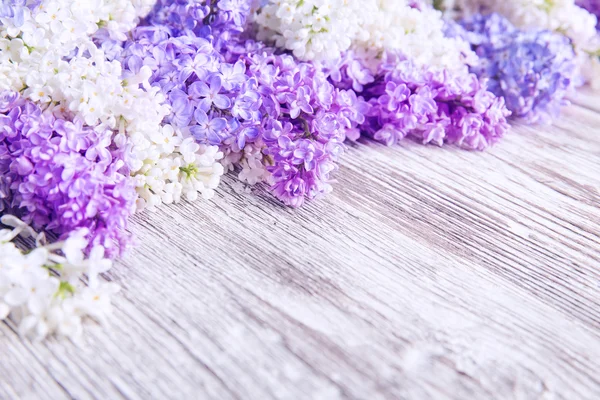 라일락 꽃 나무 배경, 꽃 분홍색 꽃 — 스톡 사진