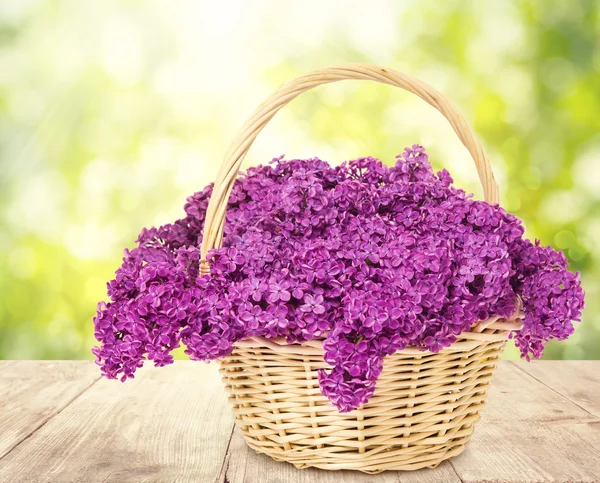 Lilac Flowers Blooming Bouquet Basket Wooden Table — Stok Foto