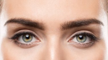 Woman Eyes Close up. Natural Beauty Eye Eyebrow long Eyelashes Make up. Open Eyes looking at Camera clipart
