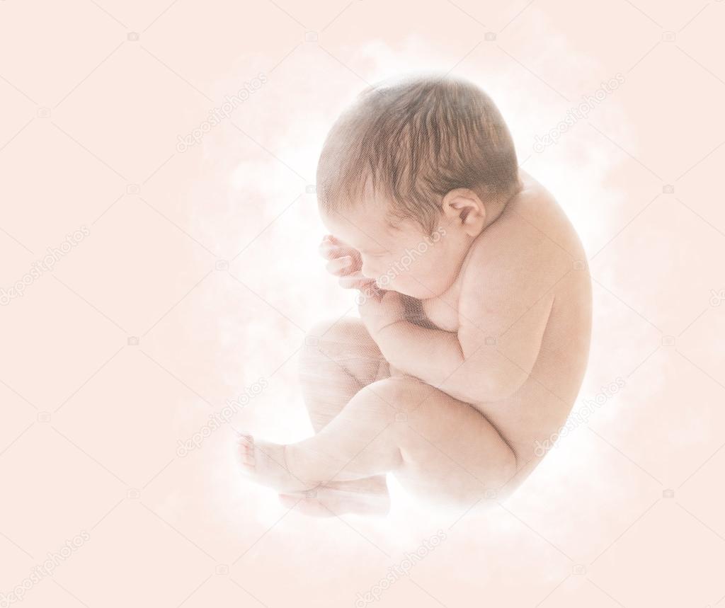 Newborn Baby, New Born Kid in Ninth Month Embryo, Human Fetus, Unborn Fetal Concept