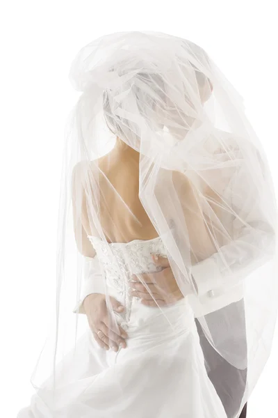 Bride and Groom Covered Veil, Wedding Couple Kissing, Back Rear view — Stock Photo, Image