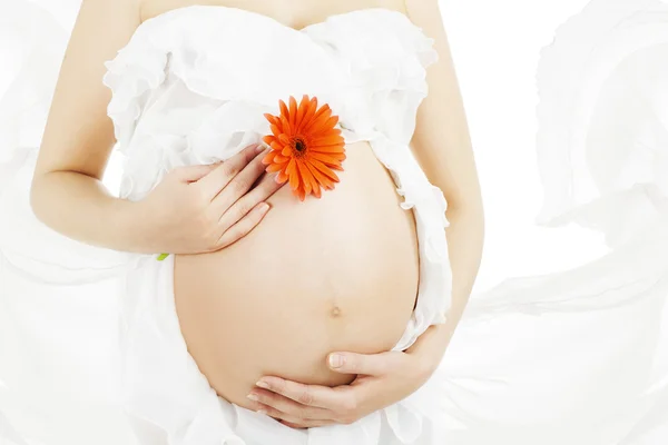 Barriga grávida com flor, gravidez da mulher, pele do estômago da mãe — Fotografia de Stock