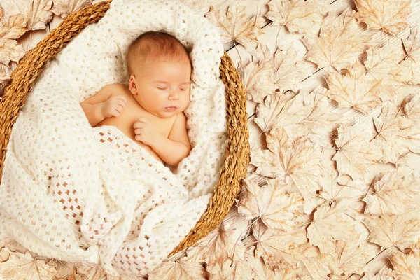 Hojas de otoño del sueño del bebé, recién nacido niño, recién nacido dormido —  Fotos de Stock