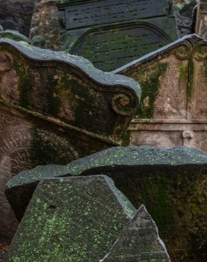 Prag 'daki eski Yahudi mezarlığında Moss mezar taşlarını kaplamıştı.